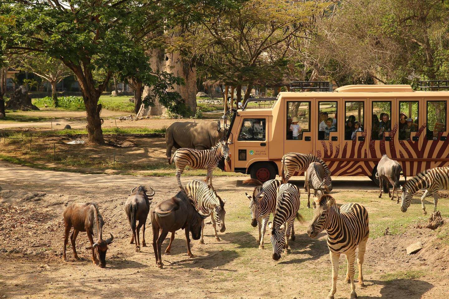 Paket Wisata Taman Safari