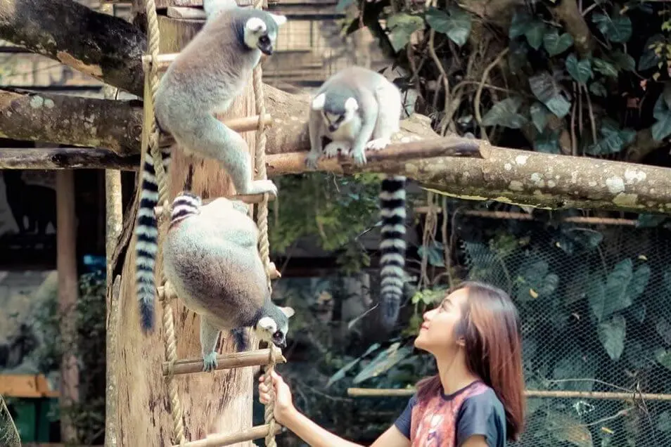 taman safari for homepage